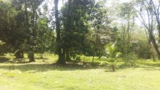 20170508_125154